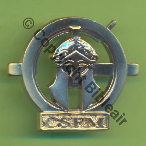 MINDEF GS242 CSFM PARIS  Fab MSEM 2Attach PINS Dos lisse Src.Y.GENTY 